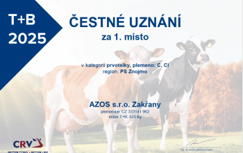 Ocenění získaná v kontrolním roce 2024/2025